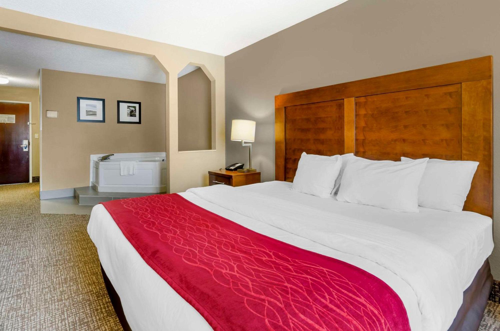 Hotel Comfort & I-81 Christiansburg