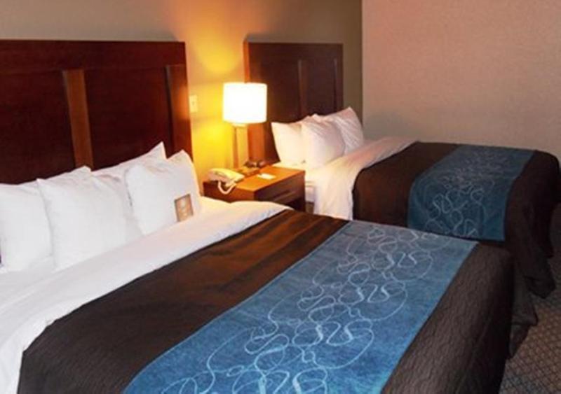 Comfort & I-81 Hotel